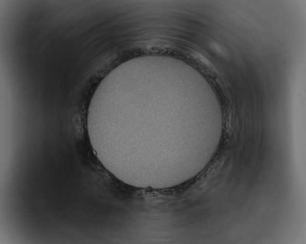 X0000092010774200710041025
