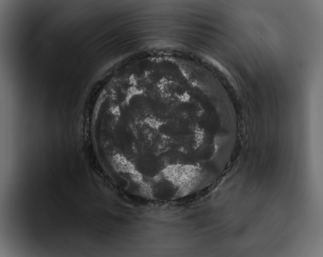 X0000092010775200710041025