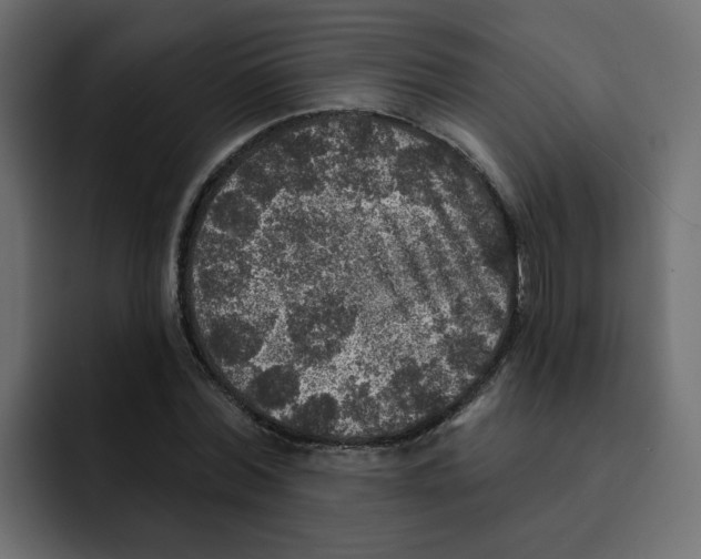 X0000092010780200710041025