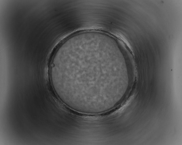 X0000092010781200710041025