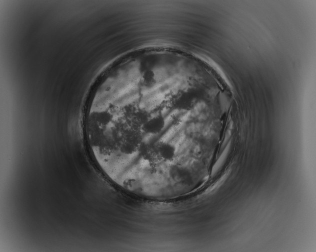 X0000092010783200710041025
