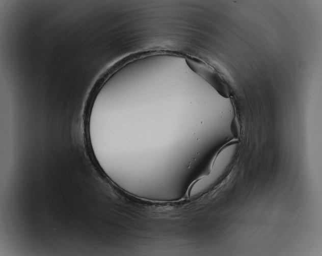 X0000092010784200710041025