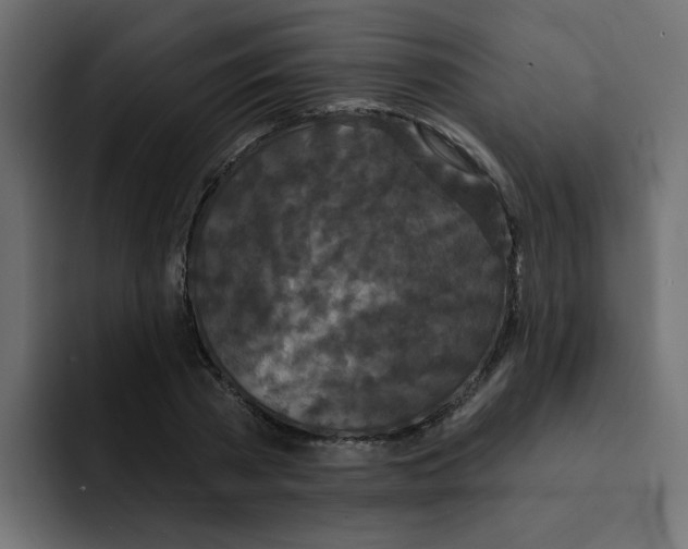 X0000092010785200710041025
