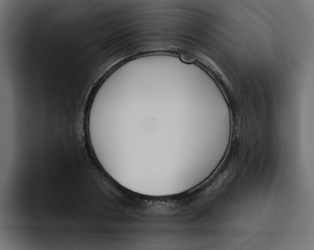 X0000092010786200710041025