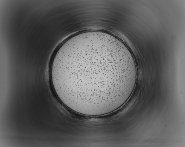 X0000092010787200710041025
