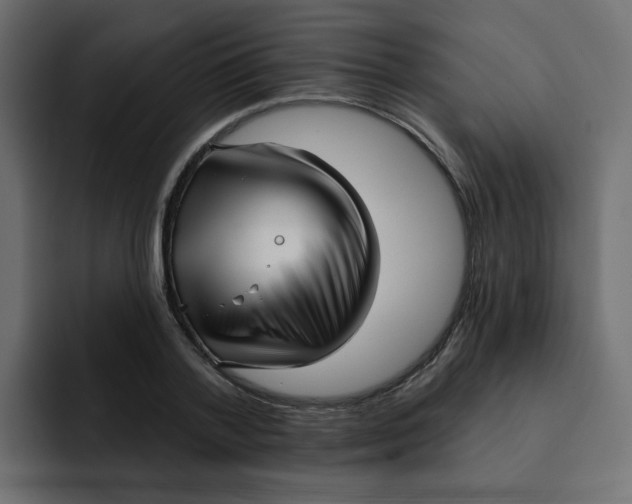 X0000092010788200710041025