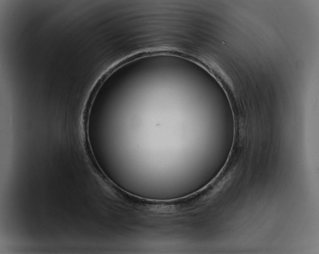 X0000092010789200710041025