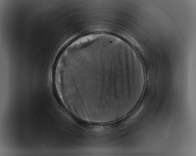 X0000092010790200710041025