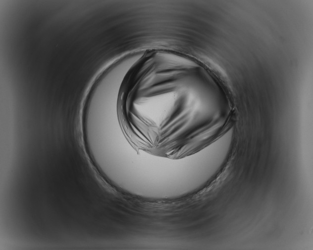 X0000092010792200710041025