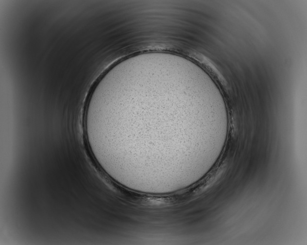 X0000092010794200710041025