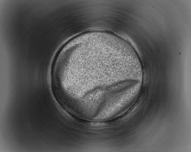 X0000092010795200710041025
