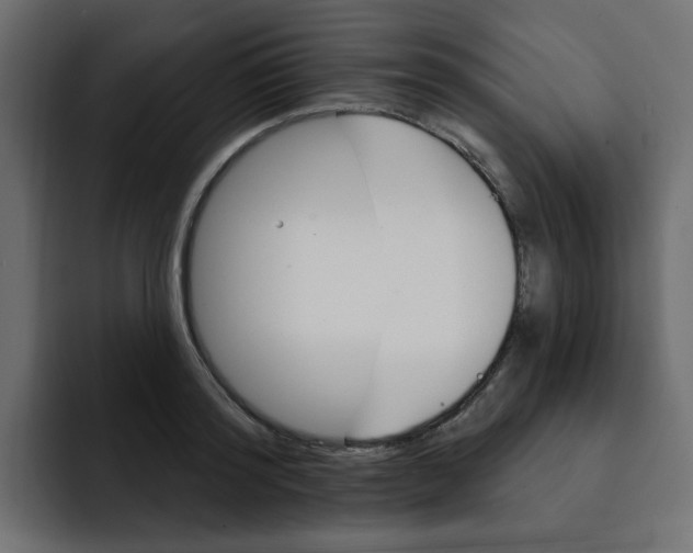 X0000092010796200710041025