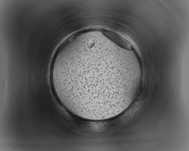 X0000092010799200710041025