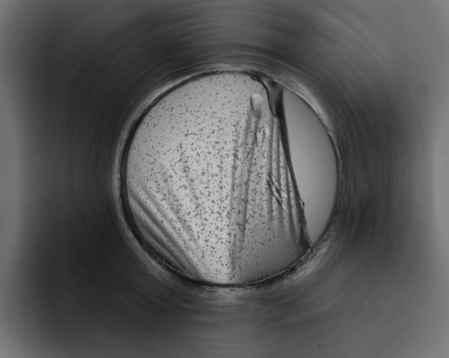 X0000092010803200710041024