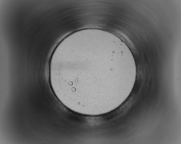 X0000092010804200710041024