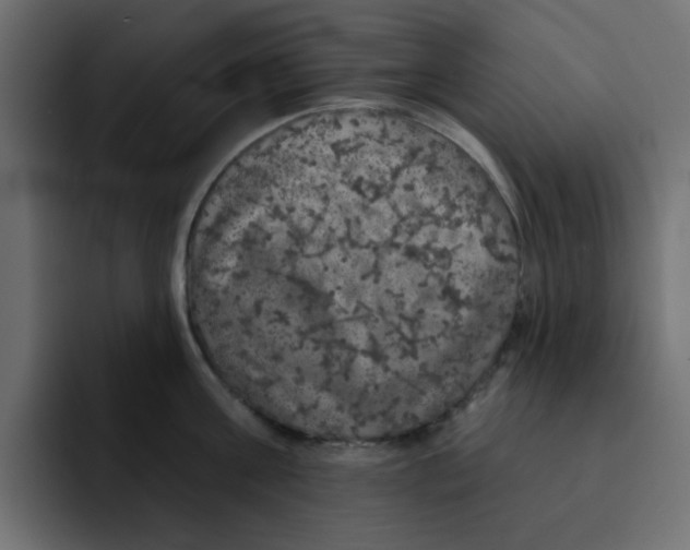 X0000092010811200710041024