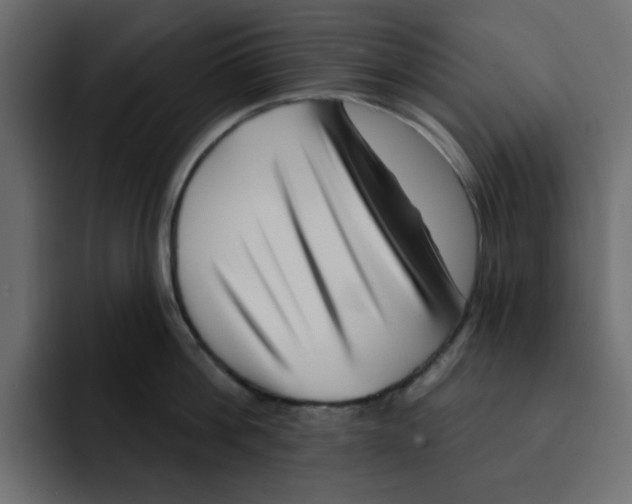 X0000092010812200710041024