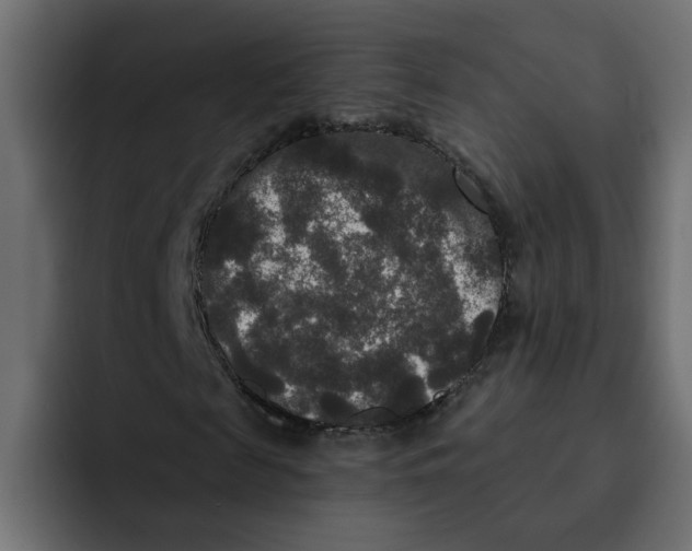 X0000092010817200710041024