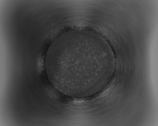 X0000092010818200710041024