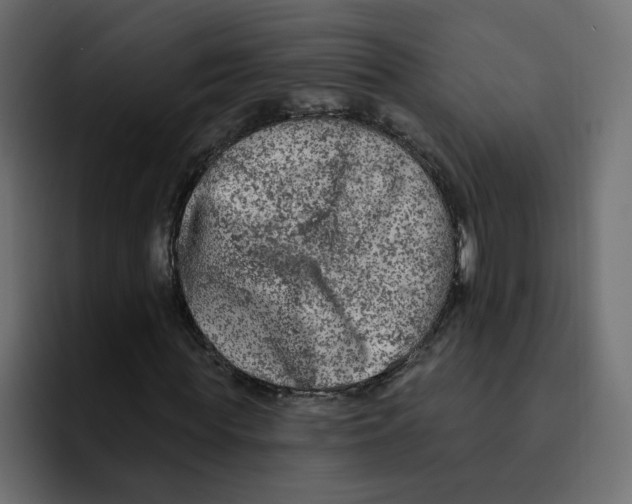 X0000092010819200710041024