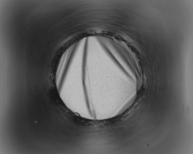 X0000092010822200710041024