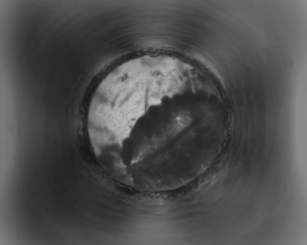X0000092010823200710041024