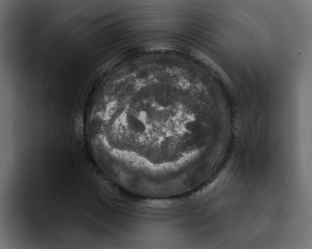 X0000092010825200710041024