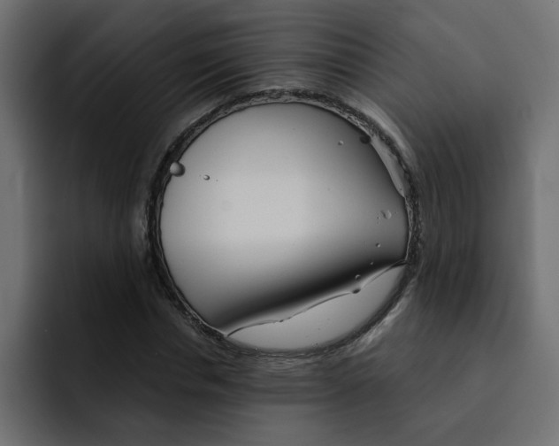 X0000092010826200710041024