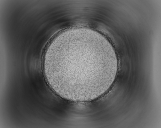 X0000092010828200710041024