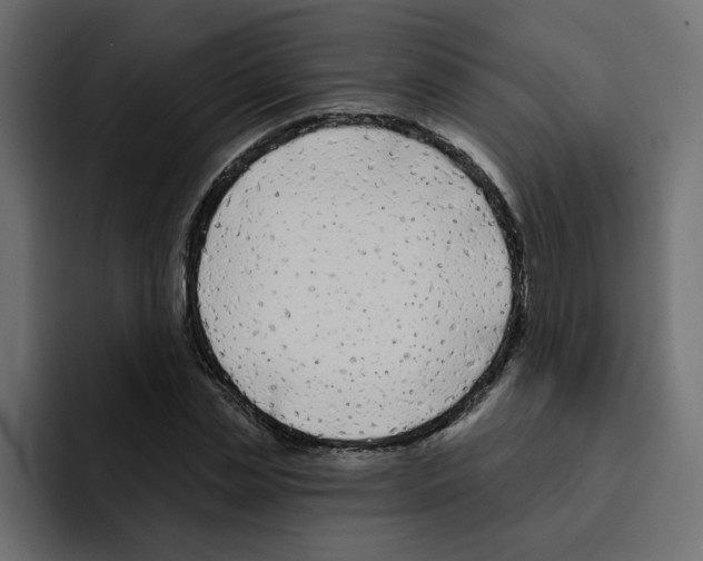 X0000092010829200710041024