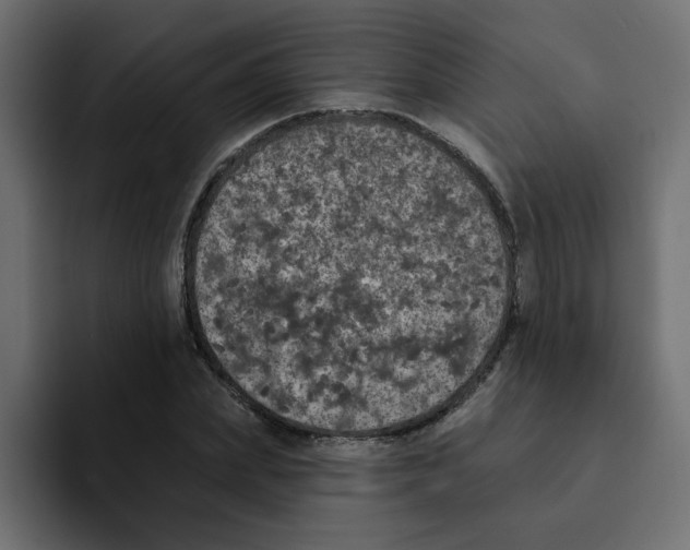 X0000092010831200710041024