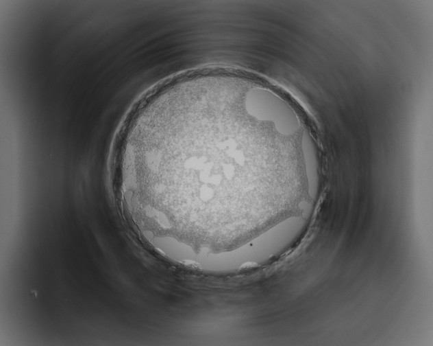 X0000092010832200710041024