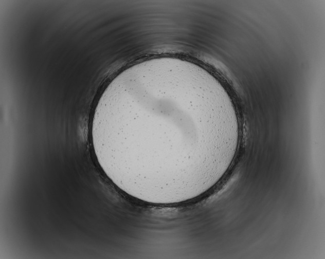 X0000092010833200710041024