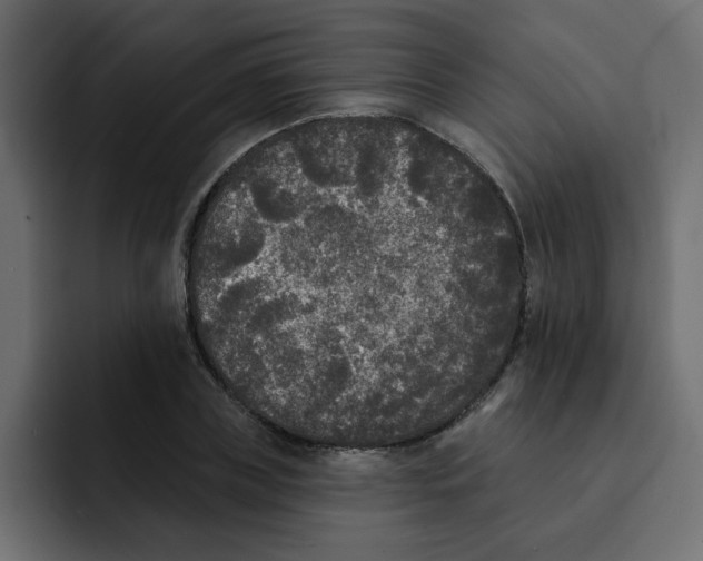 X0000092010835200710041024