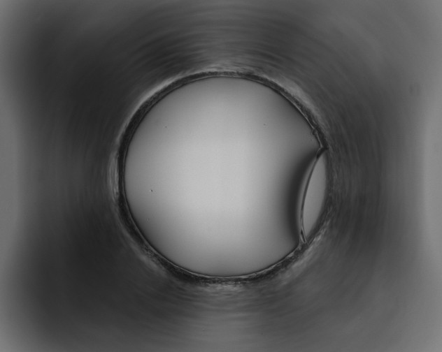 X0000092010838200710041024
