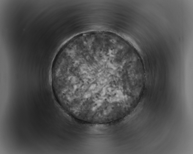 X0000092010839200710041024