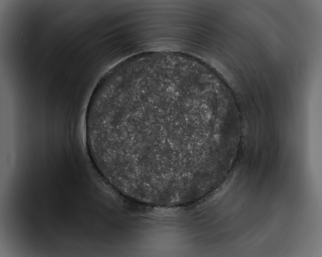 X0000092010840200710041024