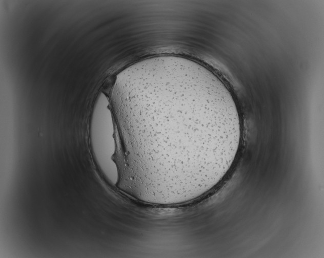 X0000092010841200710041024