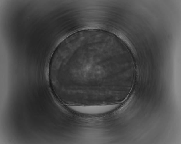X0000092010842200710041024