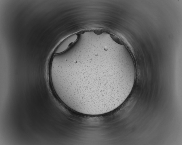 X0000092010843200710041024