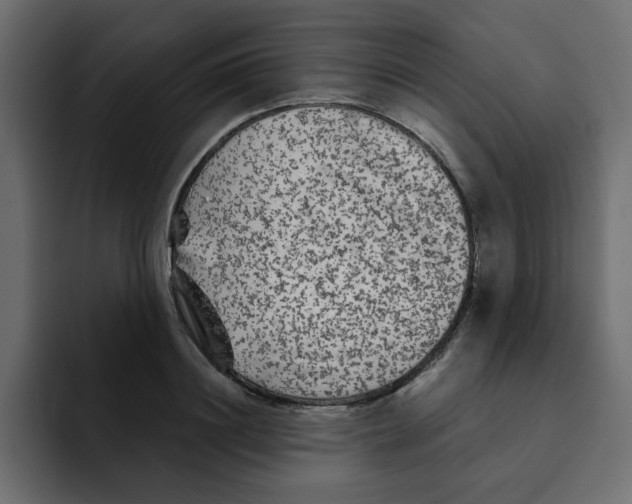 X0000092010844200710041024