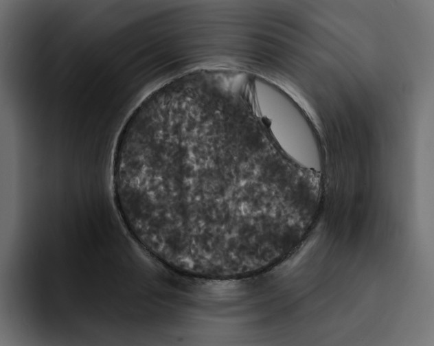X0000092010845200710041024