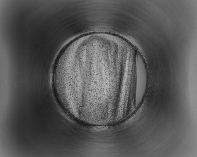 X0000092010846200710041024
