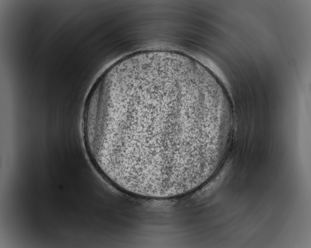 X0000092010847200710041024