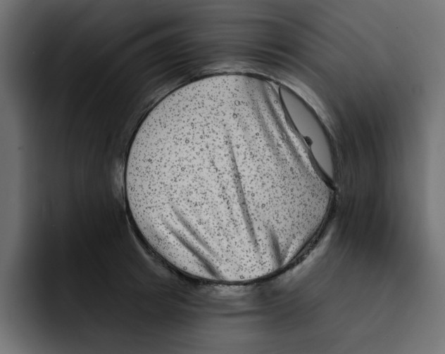X0000092010849200710041024