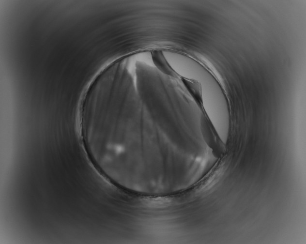 X0000092010851200710041024