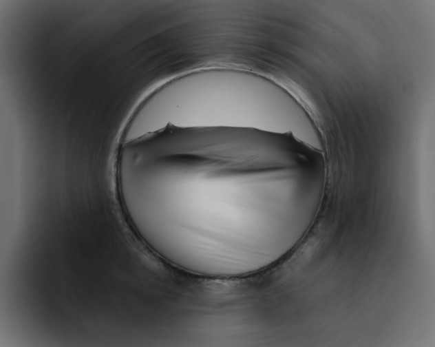 X0000092010854200710041024