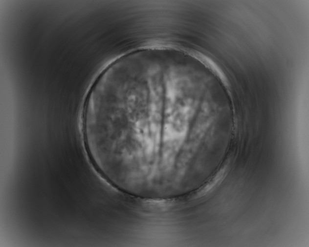 X0000092010855200710041024