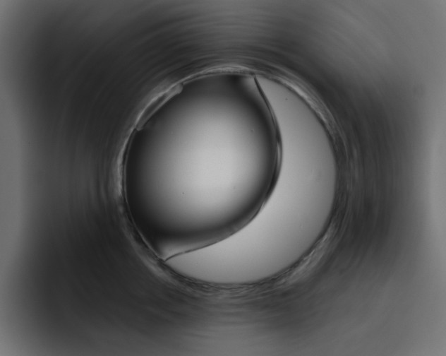 X0000092010858200710041024