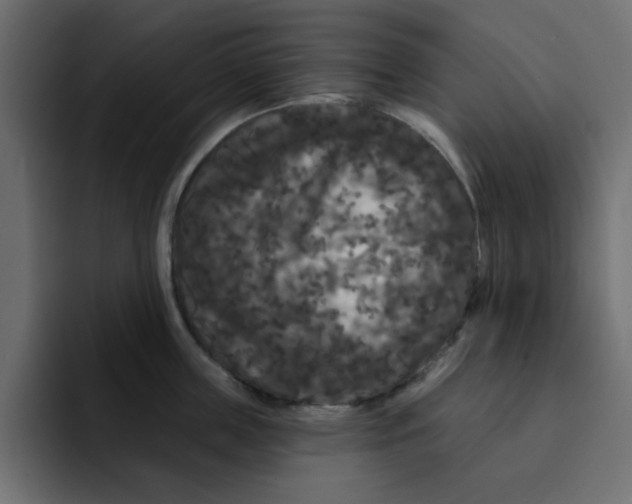 X0000092010859200710041024